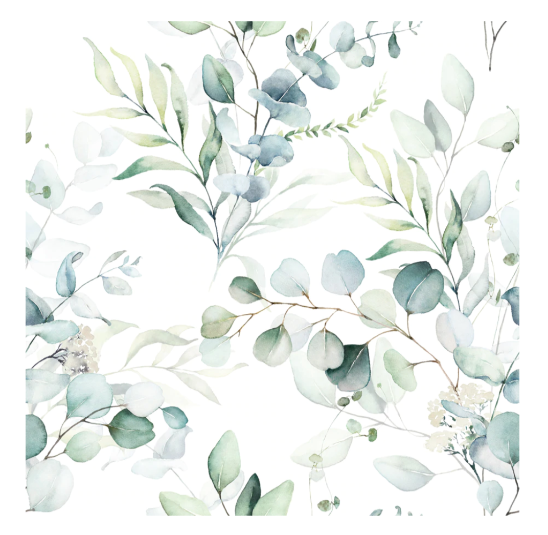 Eucalyptus
